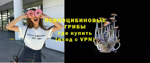 ГАЛЛЮЦИНОГЕННЫЕ ГРИБЫ Гусиноозёрск