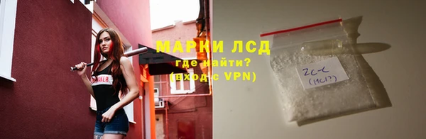 ГАЛЛЮЦИНОГЕННЫЕ ГРИБЫ Гусиноозёрск
