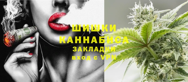 ГАЛЛЮЦИНОГЕННЫЕ ГРИБЫ Гусиноозёрск