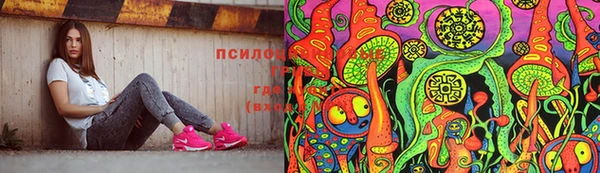 СК Гусев