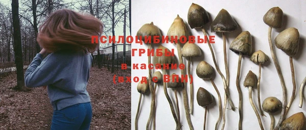 СК Гусев