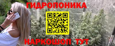 apvp Будённовск