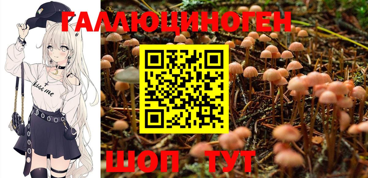 Псилоцибиновые грибы MAGIC MUSHROOMS Ефремов