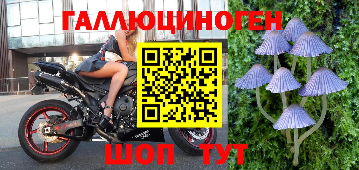 Ефремов  Псилоцибиновые грибы мицелий  Вход с VPN 